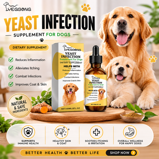 Yeast Infection Support for Dogs – Herbal Skin & Coat Care Supplement 🐾