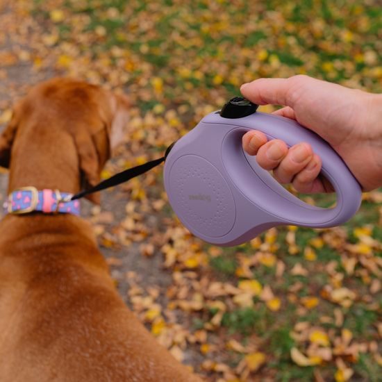 Pet Retractable Dog Leash for Medium and Large Dogs with Durable Anti-Tangle Comfortable Grip Handle
