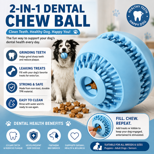 Interactive Dog Treat Ball – Durable Chew Toy, Slow Feeder & IQ Training Toy for Small & Medium Dogs