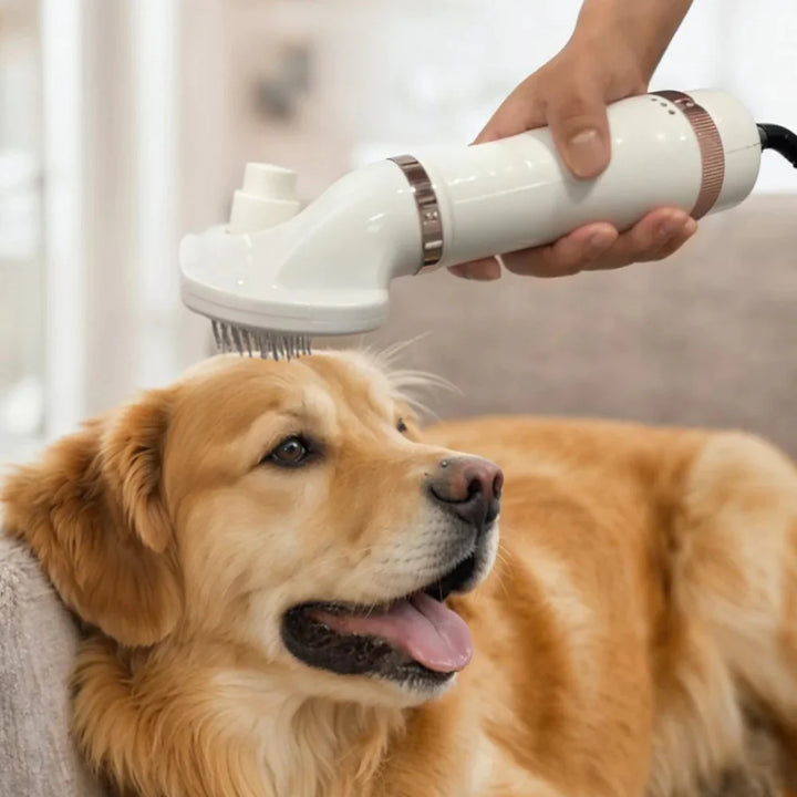 Dadypet Pet Dog Hair Dryer Grooming Tool Slicker Brush for Quick Drying Deshedding Safe Easy Use