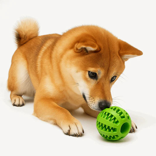 Pet Slow Feeder Dog Toy Cute Funny Rubber Ball for Interactive Treat Dispensing Play Daily