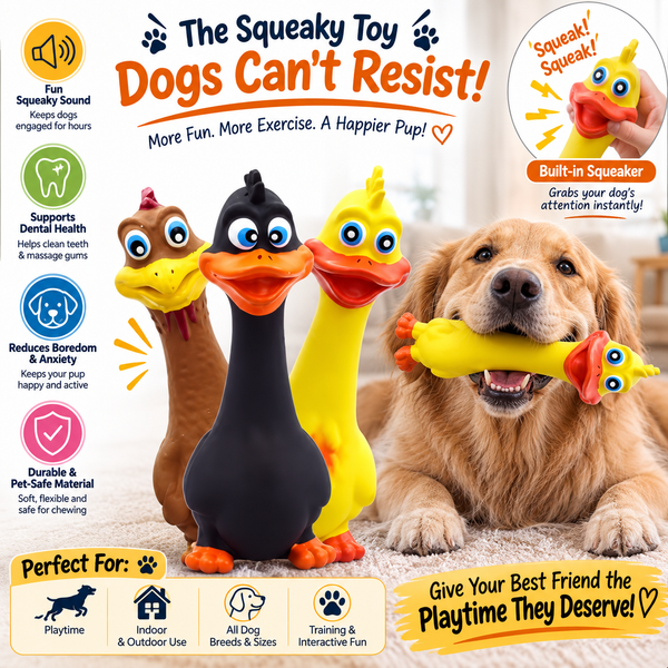 3pcs  Latex Screaming Chicken Toys Eco Friendly TPR Pet Squeaky Dog Interactive Play Chew Toys
